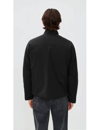 Veste Theory