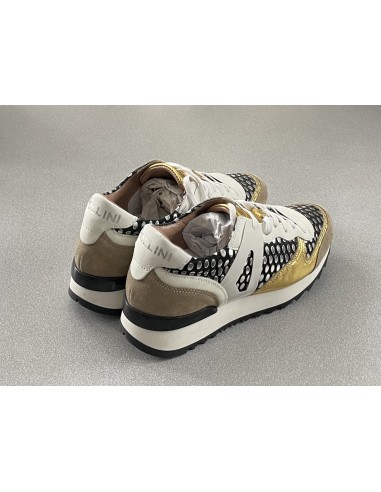 Baskets Pollini
